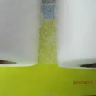 Hot Melt Adhesives Web Series,copolyester granule, hot melt adhesive powder for heat transfer
