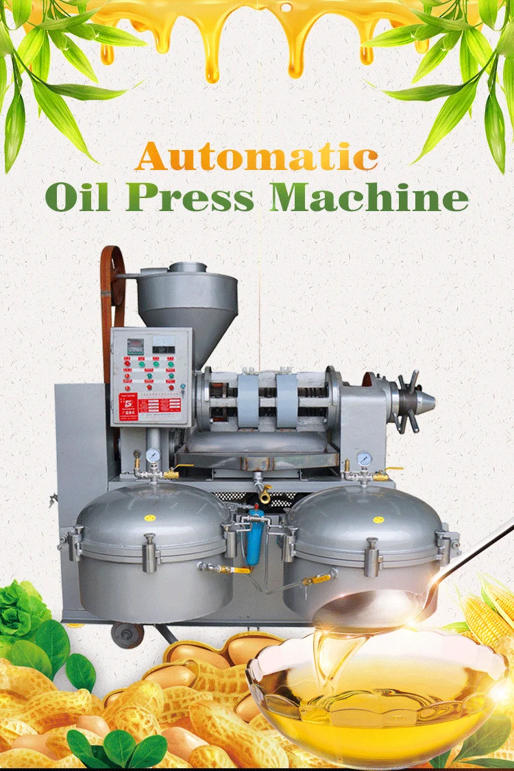 Automatic screw groundnut peanut oil press machine expeller