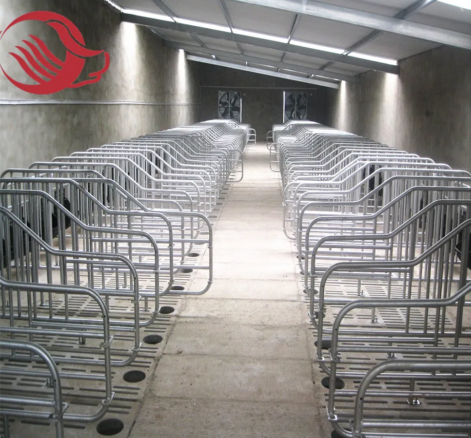 Pig farm equipment gestation crate sow cage for sale