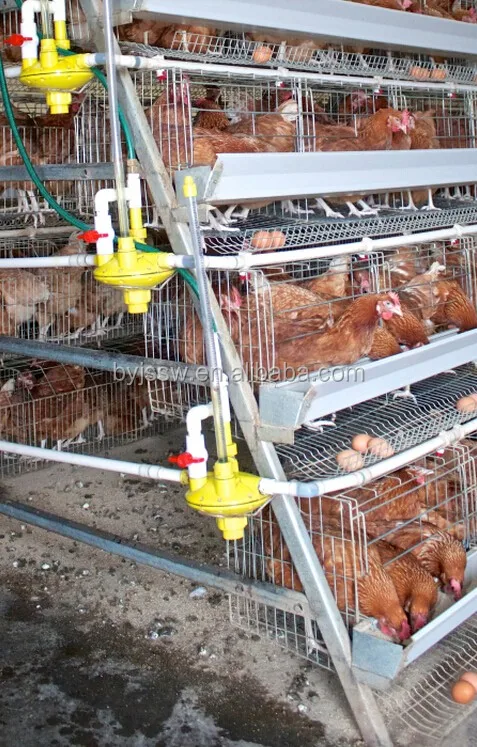 Metal Wire Chicken Cage For Farm