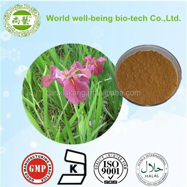 100% natural acorus calamus extract/calamus extract/acorus