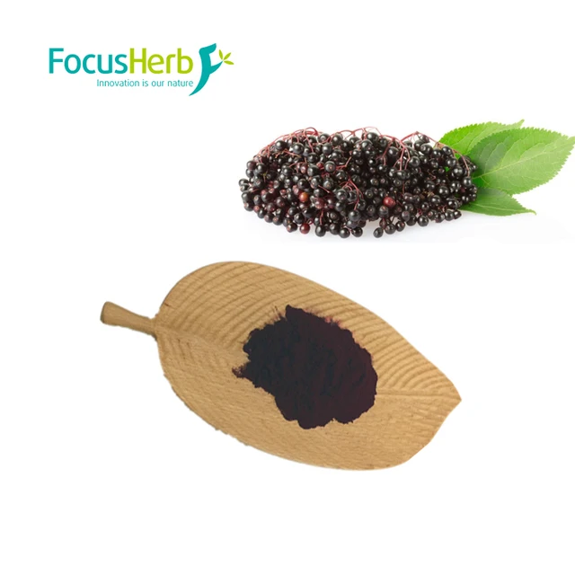 elderberry,lls,eberry(第11页)_大山谷图库