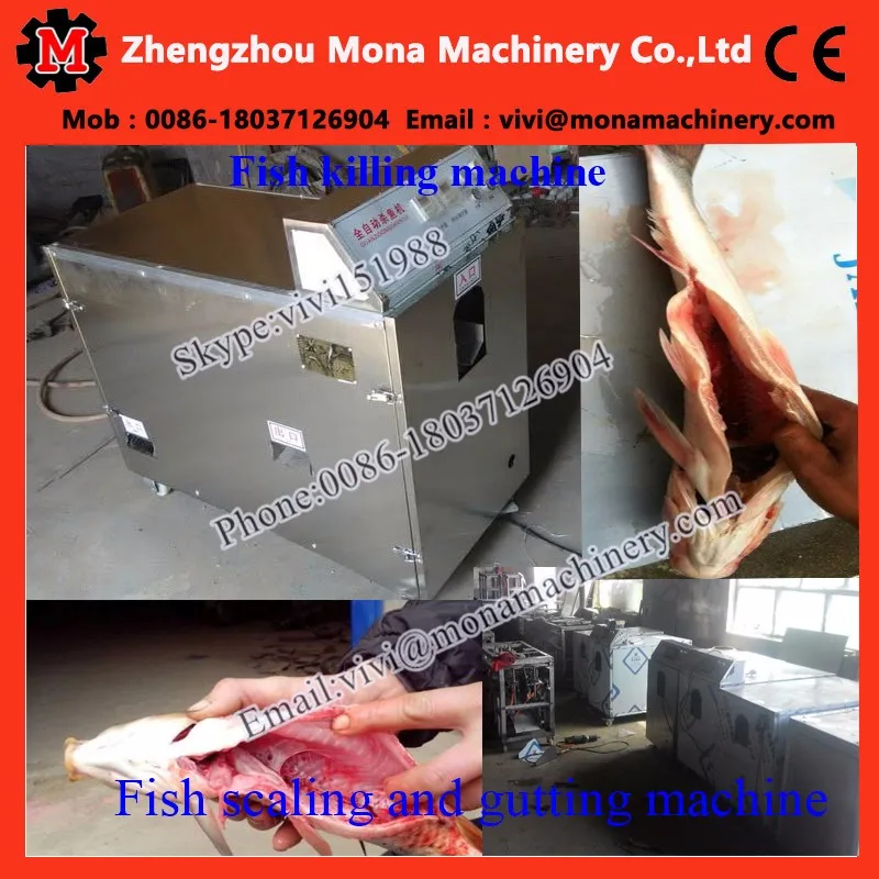 Fish scaling and gutting machine (2).jpg