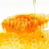 100% Mature Pure Comb Honey in Honey from Chinese Farmers