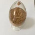 30% Beta Glucans Organic Lion's Mane Extract Powder