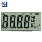 Lcd Screen Display Suppliers 4 Digit Lcd Panel Customized Lcd Module for Electronic Measuring Instrument