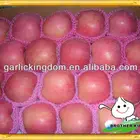 Paper bagged fuji apple/Shandong Apple/Red apple from Yantai