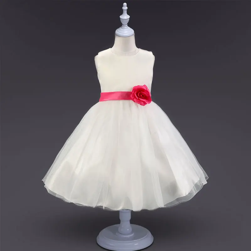 6908717883_407484580