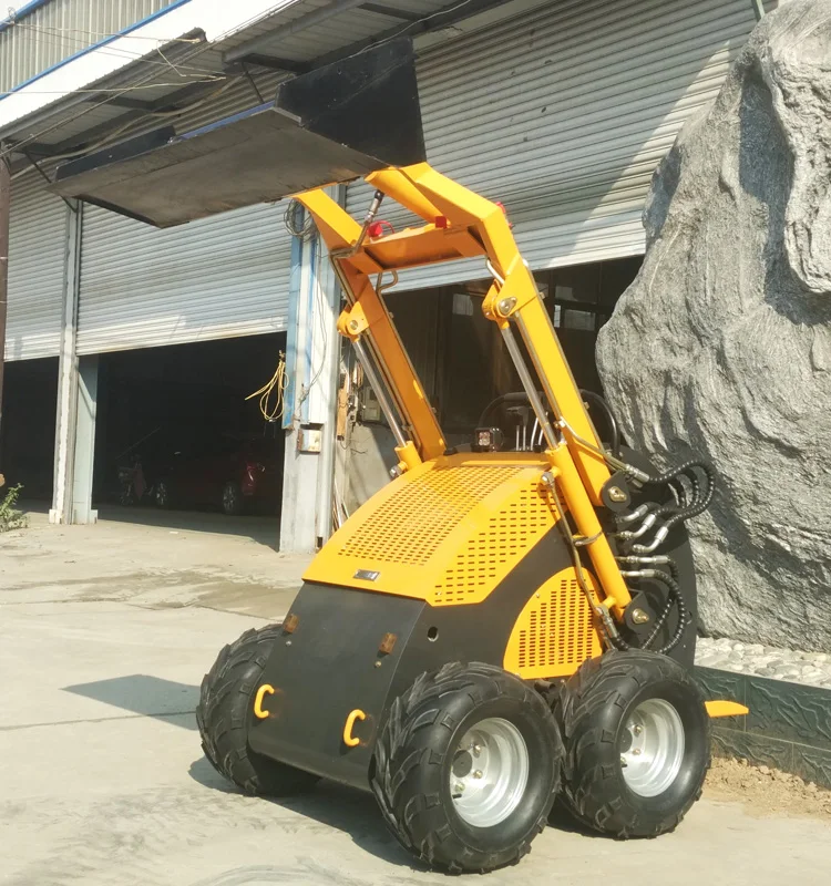  skid steer loader001.jpg