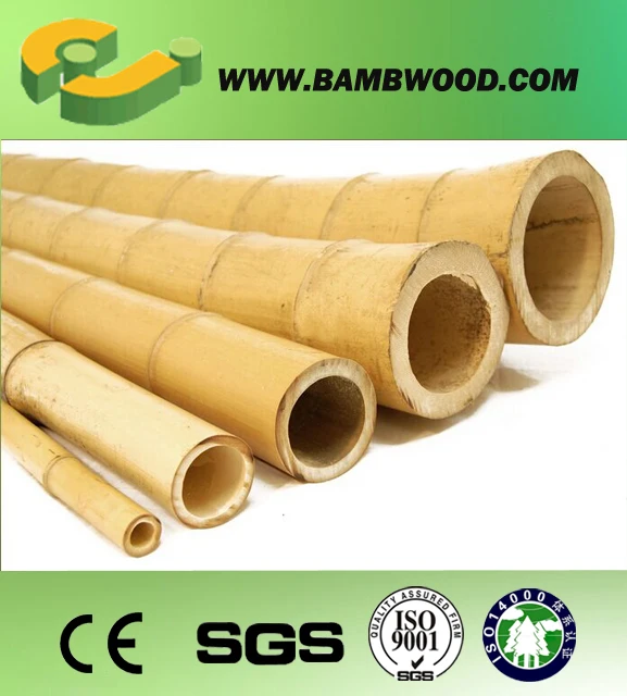 large natural moso bamboo pole