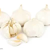 Wanted garlic for wholesale garlic buyers/ fresh garlic specification