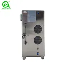 Psa Generator For Koi Pond Ozone Generator 10g PSA Oxygen Generator Ozone Generator For Koi Pond Water Treatment