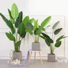 Artificial Bird of Paradise Plants, Travelers Palm Trees, Artificial Banana Trees