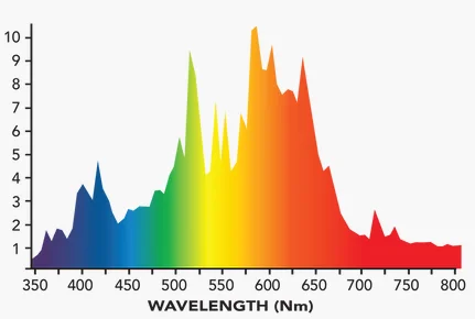 Wave.png