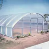 /product-detail/agriculture-tent-plastic-greenhouse-for-vegetables-60781131189.html