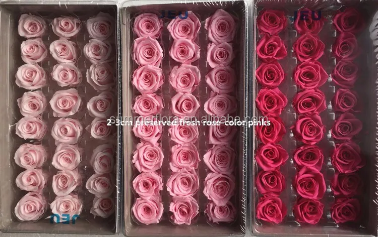 high grade popular gift of the natural preserved roses