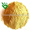 Dehydrated Yellow Ginger Powder