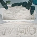 Magnesium Oxide (60% 65% 80% 85% 87% 90% 92% 94% 95% Powder and Granular)