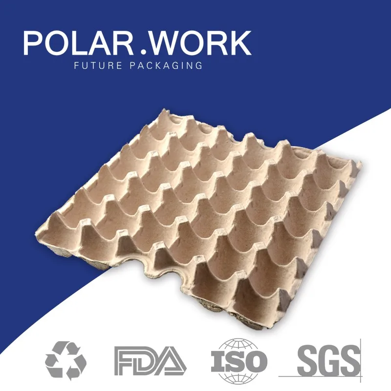 New design paper egg tray made in China