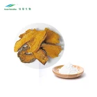 New Products Free Sample of Best Selling Products Giant Knotweed Extract Resveratrol Polydatin