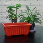 Nursery Flower Pots Nursery Bonsai Rectangle Bamboo Flower Planter