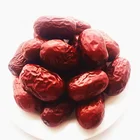 Dried Fresh Fruit Jujube Xinjiang Fresh Dried Red Jujube Fruit