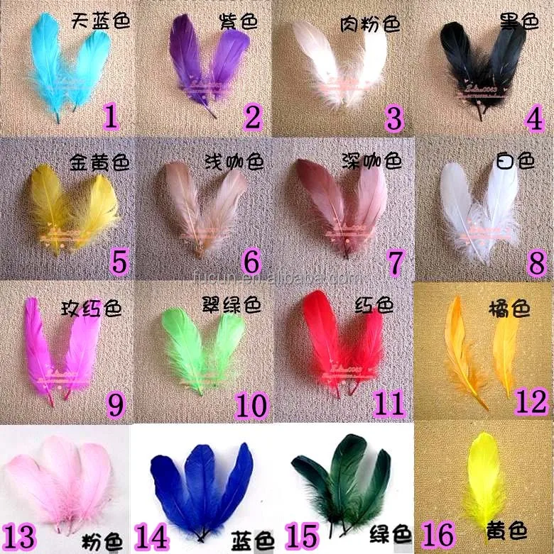 color chart.jpg