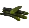 Green Cucumber Models Photo Background