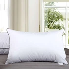 High Quality Hotel Buckwheat Husk And Microfiber Pillow