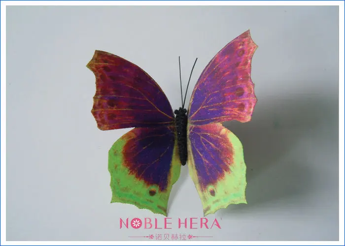 event & party supplies   brand name addilyn size 11 cm butterfly