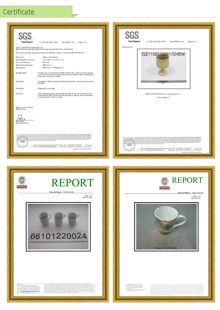 Certificate.jpg