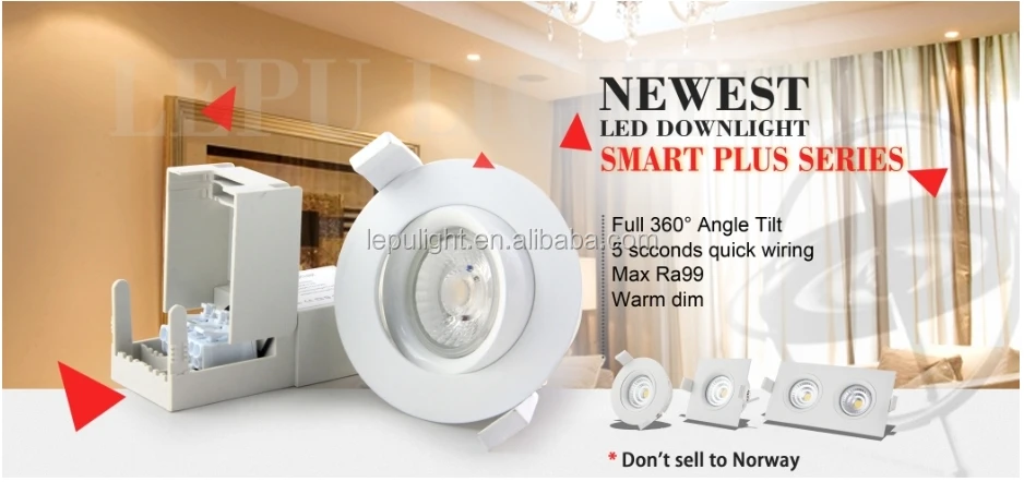 smart downlight