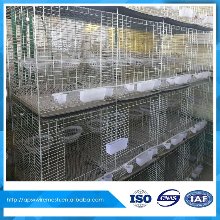 Chovm Gold Supplier quail bird cages for sale in pakistan