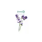 Farwell Natural Lavender essential Oil pure