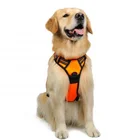 hands free dog bungee leash Pet Vest 3M reflective dog bungee leash