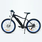 Cheap ebike bisiklet elektrikli bike electric mountain