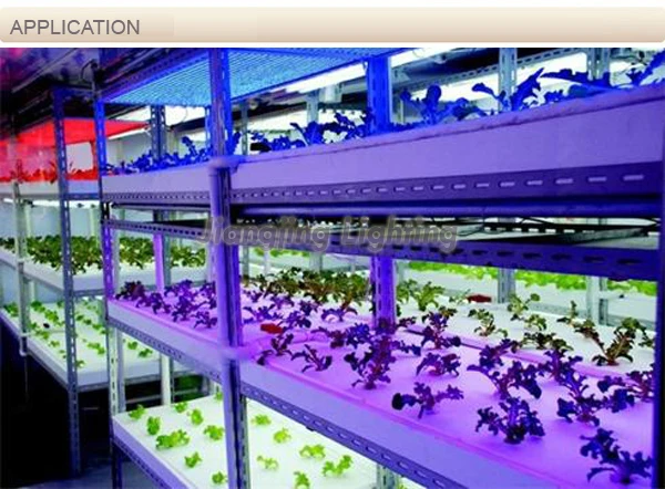 2015 100lm/w 18ワットcobフルスペクトラムledライトを育てるため野菜仕入れ・メーカー・工場