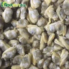 Frozen Chinese Razor Clams For Sale