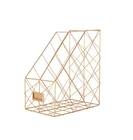 Creative retro new reticulated gold stand light steel frame
