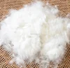 china factory bulk 100% cotton filling goose down feather
