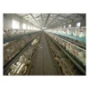 layer egg chicken cage poultry farm house design