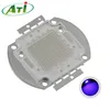440nm - 445nm - 450nm integrated blue cob led chip 50W 100W For aquarium Light