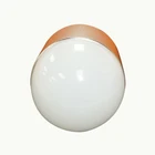 Led Led Led Bulbs Smart Led Light Bulb Wifi Smart Led Bulb Wifi Google Home