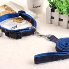cute boom custom stylish dog outdoor suit pet trainer collar
