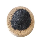 Wholesale Price Powder Coconut Shell Activated Carbon