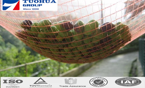 olive net4_.png