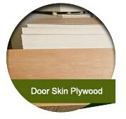 door skin ply.jpg