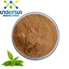 The factory supplies high quality natural green tea leaf extract Camellia sinensis polyphenols 90%
