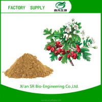 Green Hawthorn Dried Powder For Drink