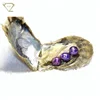 /product-detail/south-sea-pearl-oysters-potato-7-8mm-purple-pearls-in-oyster-shell-wholesale-price-60755642945.html